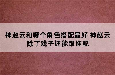 神赵云和哪个角色搭配最好 神赵云除了戏子还能跟谁配